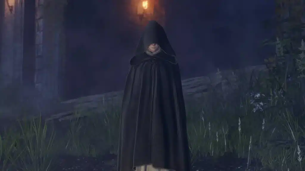Elden Ring: Rare Interaction with Melina After Spending 730 Hours in Gameplay