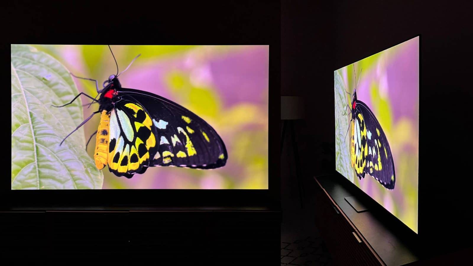 QNED vs. OLED vs. QLED: What Technology Should Your Next TV Feature?