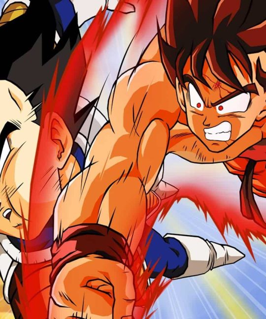 Animation Hero Face-Off: Goku Vs Vegeta- Who Will Emerge Victorious?