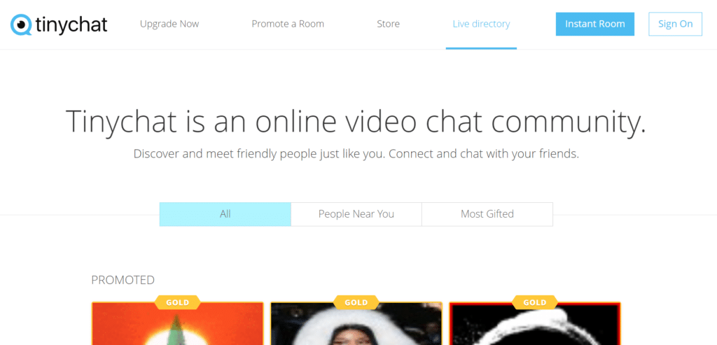 TinyChat