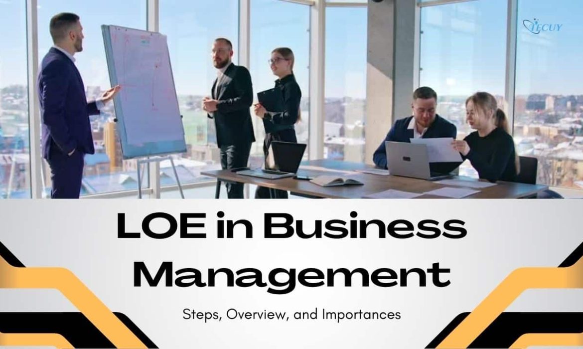 LOE in Business Management: Steps, Overview, and Importances