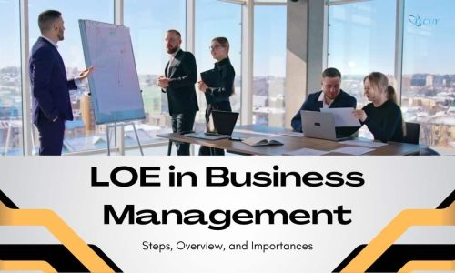 LOE in Business Management: Steps, Overview, and Importances
