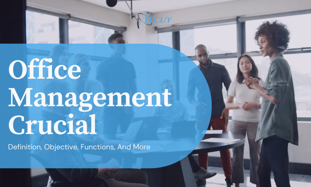 A Complete Guide To Office Management And Why Is It Important In 2024?