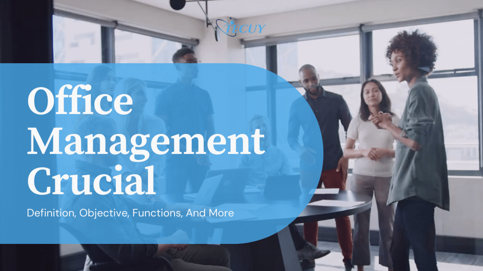 A Complete Guide To Office Management And Why Is It Important In 2024?